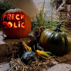 freck_bolig.jpg