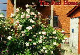 Redhouse_1.jpg