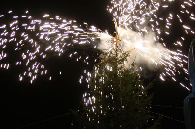 2015_jul_11.jpg