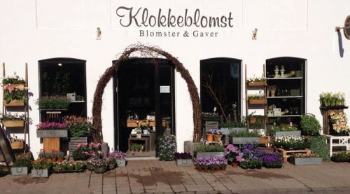 klokkeblomst.jpg