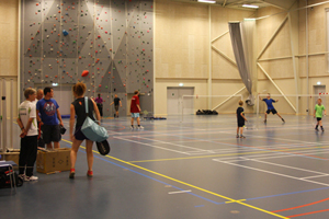aktivitetsdag_SIKI_2013.jpg