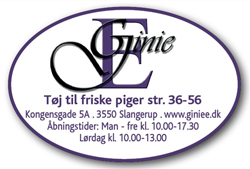 ginie-e_logo.jpg