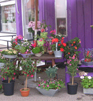 blomster_galleriet2.jpg