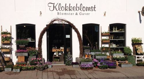 klokkeblomst.jpg