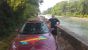 carbage_run_10.jpg