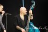 36_snaketown_2015.jpg