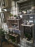 tinaW_butik_4.jpg